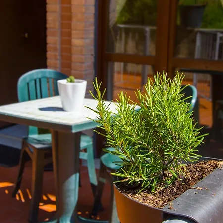 Casa Il Rosmarino Apartmán San Lorenzo a Merse