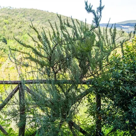 Casa Il Rosmarino San Lorenzo a Merse